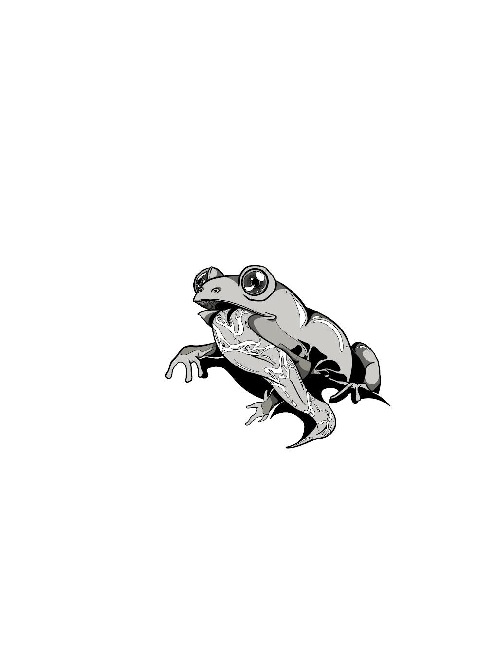 the mysterious frog sticker JordanDuellArt