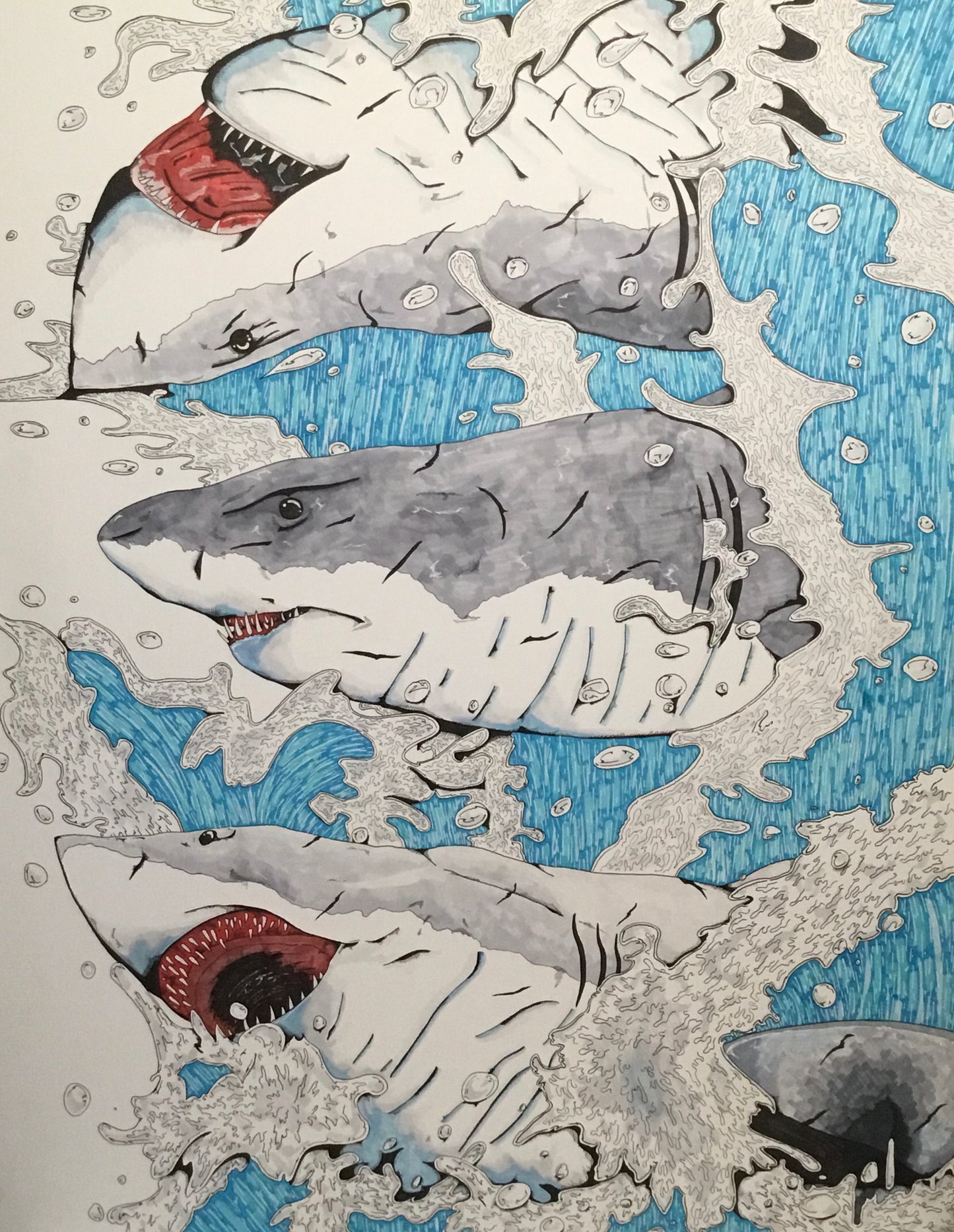 Sharks JordanDuellArt